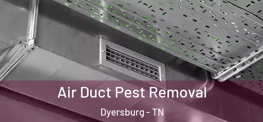  Air Duct Pest Removal Dyersburg - TN