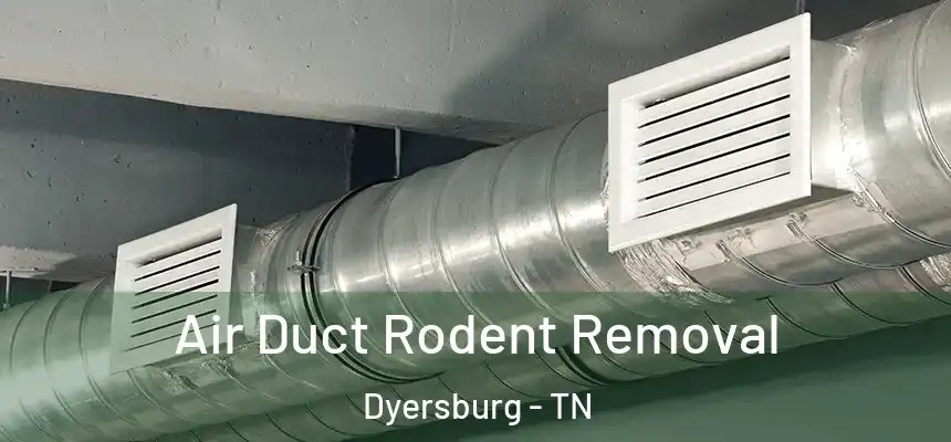  Air Duct Rodent Removal Dyersburg - TN