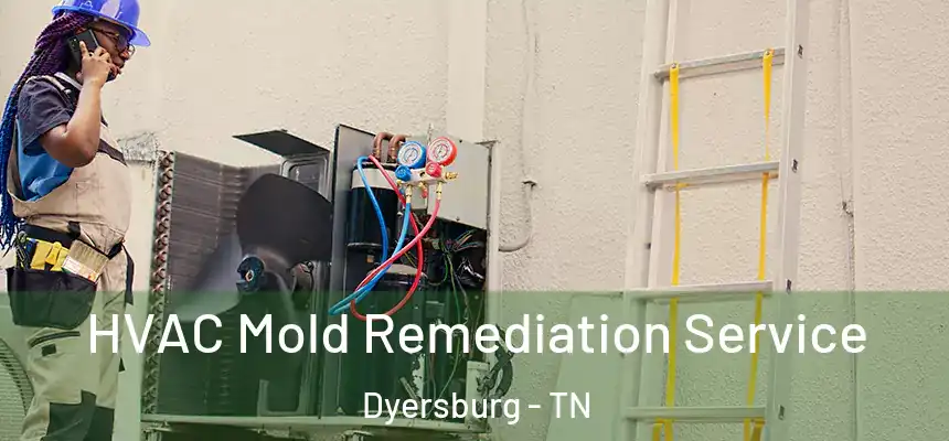  HVAC Mold Remediation Service Dyersburg - TN