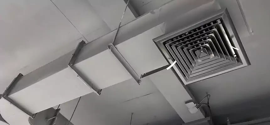 Restorative Allergy Relief Vent Cleaning – Coil, Blower & Housing Detail in Dyersburg