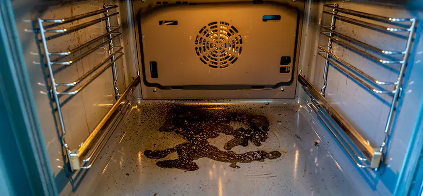 Our Dryer Vent Mold Cleaning Services in Dyersburg, TN