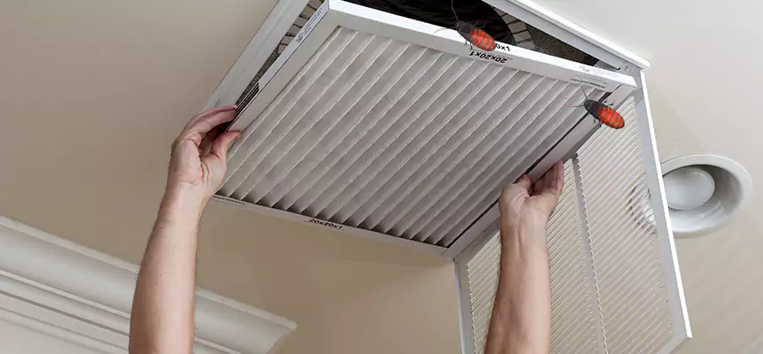 Our Insect Removal from Air Ducts Services in Dyersburg, TN