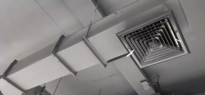 Our Pest Removal From Ducts Services in Dyersburg, TN