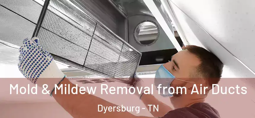  Mold & Mildew Removal from Air Ducts Dyersburg - TN
