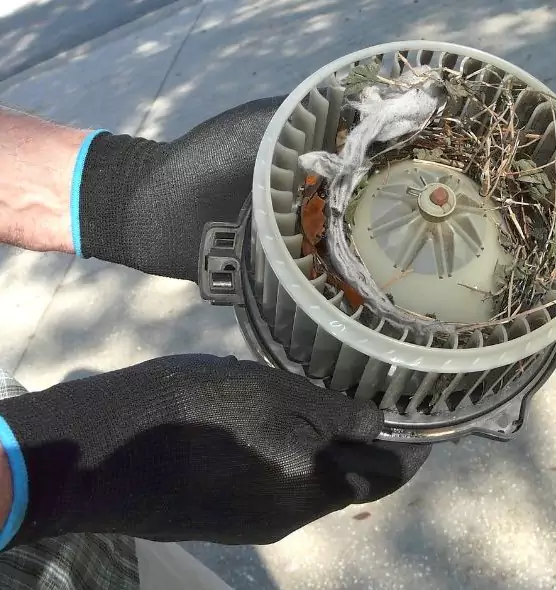 About Air Duct Rat Removal in Dyersburg, TN