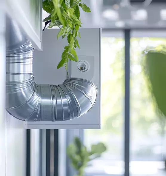 Professional Eco-Safe Dryer Vent Cleaning in Dyersburg, TN