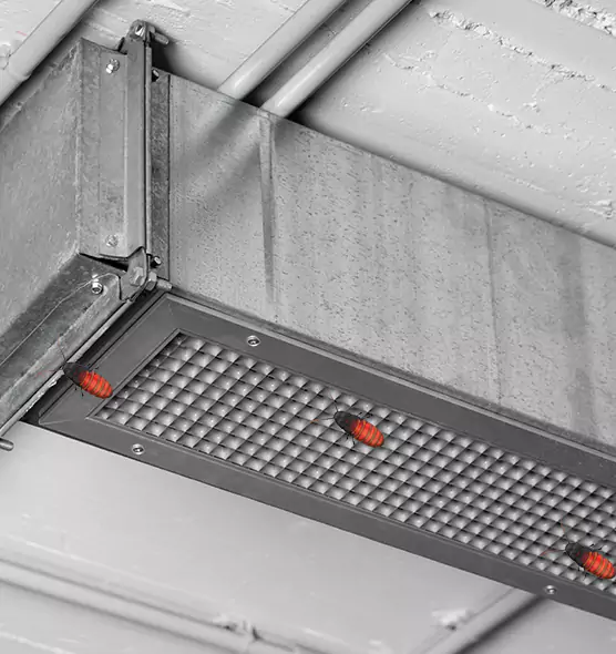 Affordable Insect Removal from Air Ducts in Dyersburg, TN