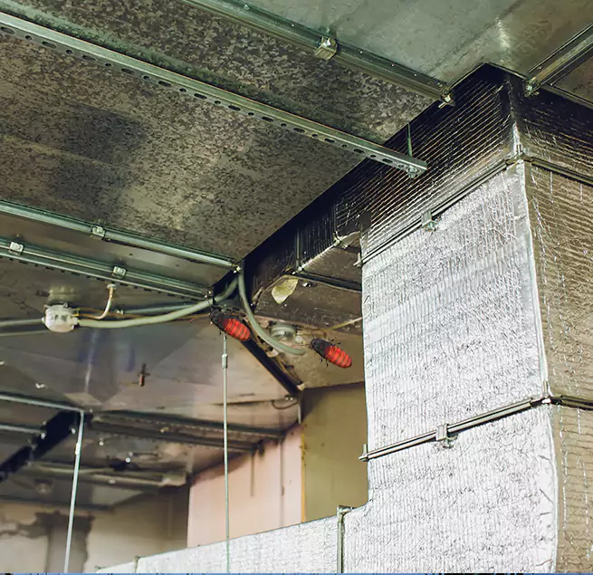 Why Homeowners & Businesses Trust Us in Dyersburg, TN?