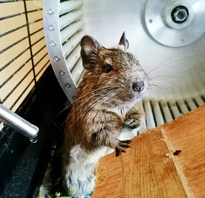 Why Homeowners & Businesses Trust Us Dyersburg, TN?