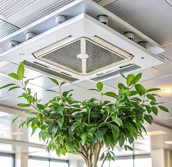 Why Homeowners & Businesses Trust Us in Dyersburg, TN