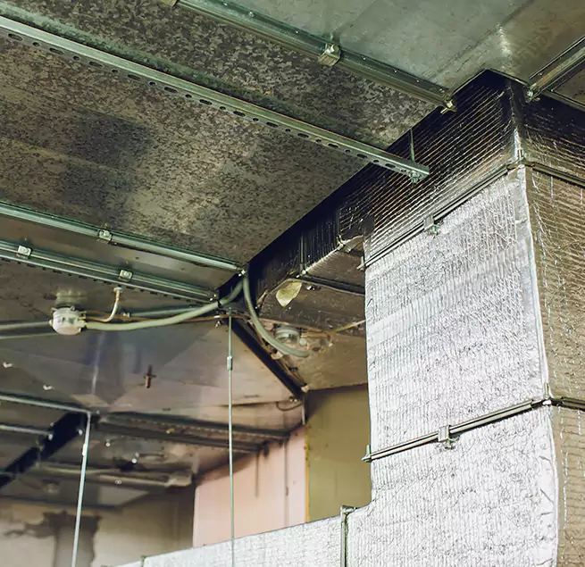 Why Homeowners & Businesses Trust Us in Dyersburg, TN?