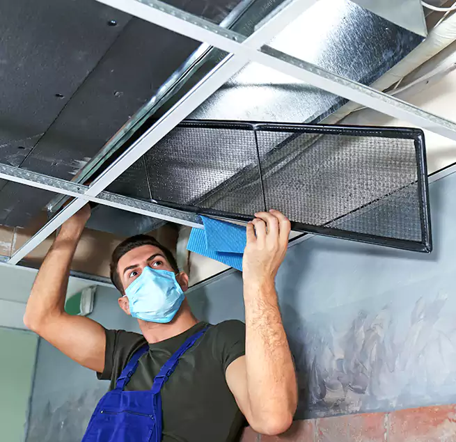 Why Homeowners Businesses Trust Us in Dyersburg, TN